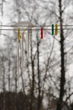 Die Januar optimistisch / *****