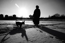 Shadows / *****