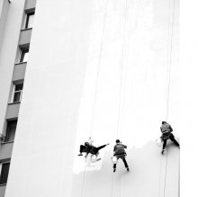 Freedom / .....