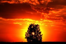 Sonnenuntergang / ......