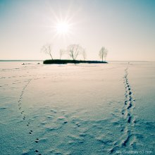 traces / ***