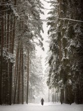 Mensch und Natur ... / ***