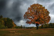 Herbststimmung / ***
