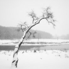 im Nebel * / .....
