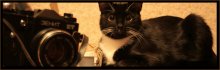 FishEye - CatEye / ***