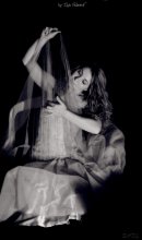 Harp Wasteland / ***