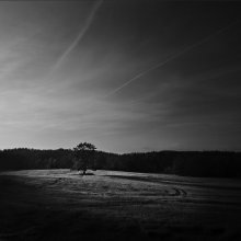 Herbst in BW / ***