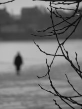 Trakai / ***