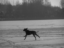 Trakai 3 / ***