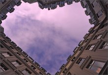 Heart Yard / ***