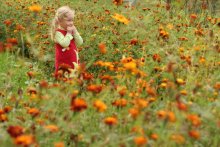 Floret / ********