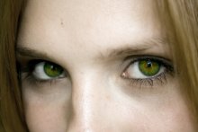 Blick / ***