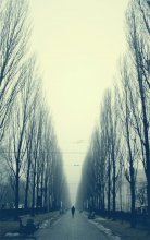 Nirgends / .............