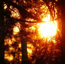 Die Sonne im Rahmen / ***