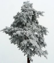 Eingehüllt / ***