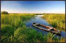 ruhige Backwaters / ***