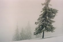Otumanennye / ***