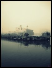 fog / ***