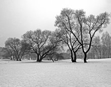 Winter Etüde / ------