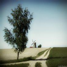 Sonntag Dream / ***