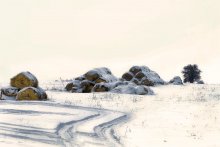 Winter / ***