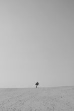 All alone / ........