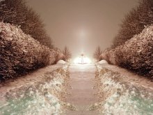 Winter / ***