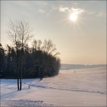 Winter / ***