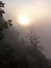 Sonnenaufgang / ***