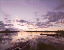 Lilac Sunset / .....