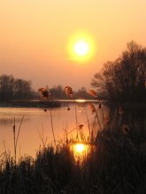 Sonnenuntergang / ***