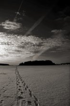 Um die Wolke .. / ***