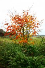 zwischen Sommer und Winter / *****