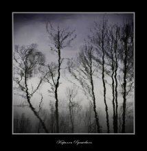 Abschied von Winter / ***