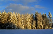 Abschied von Winter. / ****************