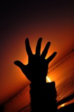 Hand / ***