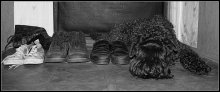 Jagger SHOES / ***
