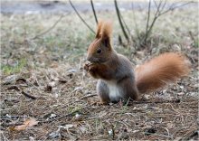 Snack Zeit / ---------