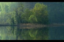 Spring Tale / ***