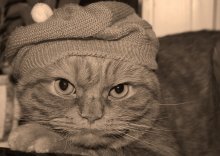 Mein Freund, der Maler und Dichter ... / ***