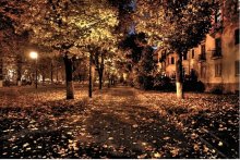 Herbst / ***