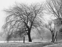 Serebryanka / ***