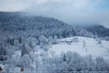Schnee / ***