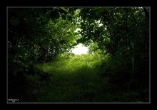 Licht am Ende ... / ***