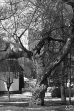 Gorky park #2 / ***