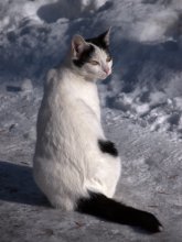 Nur die Sonne lässt sich nicht ausschalten / ***