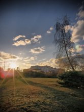 Abendlicht / ***
