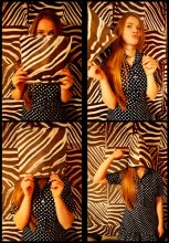 Zebra / ***
