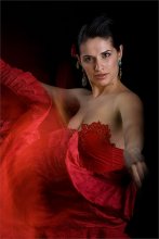 Flamenco / ***