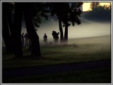 Nebel / ***